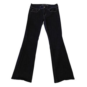 American Eagle Blue Flare Wide Leg Jeans